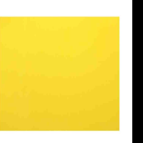 FOAMY CTA. AMARILLO CANARIO E.24 C.408